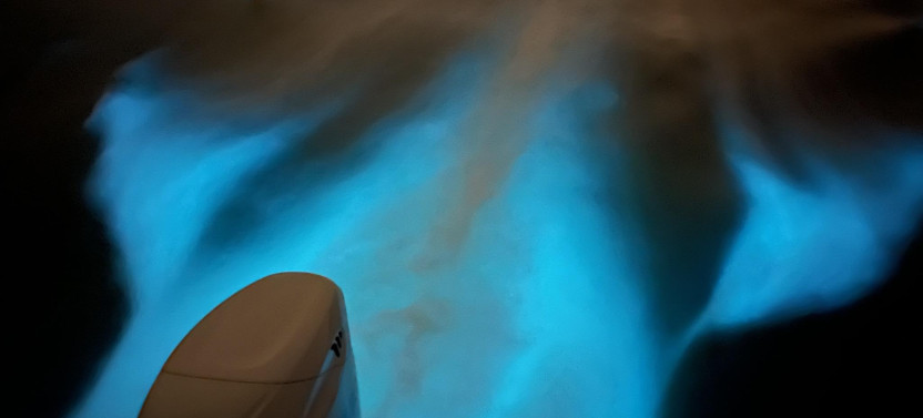 Sunset and Bioluminescence Tour in Cocoa Beach