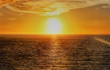 Cruise Cocoa8