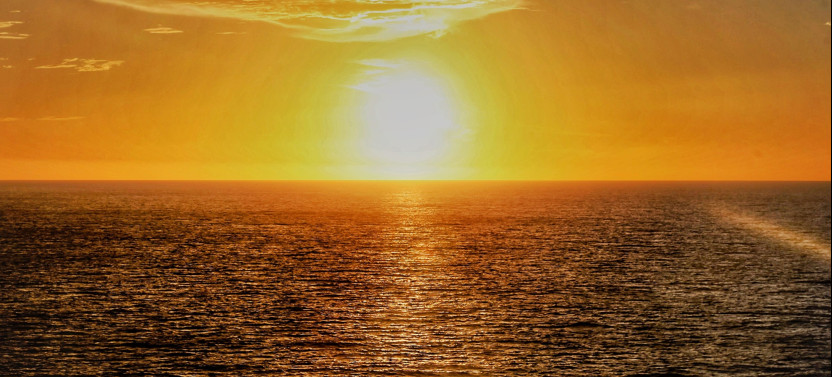 Private Sunset and Bioluminescence Tour in Cocoa Beach