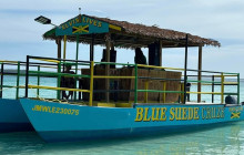 Aloha Jamaica Tours2