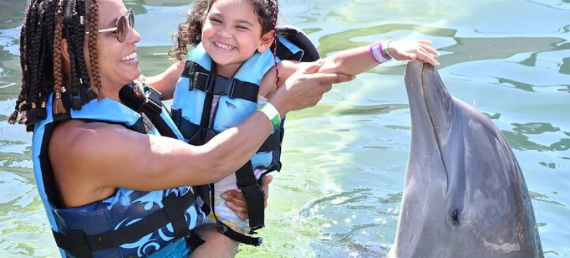 Private Transportation To/from Dolphin Cove In Montego Bay
