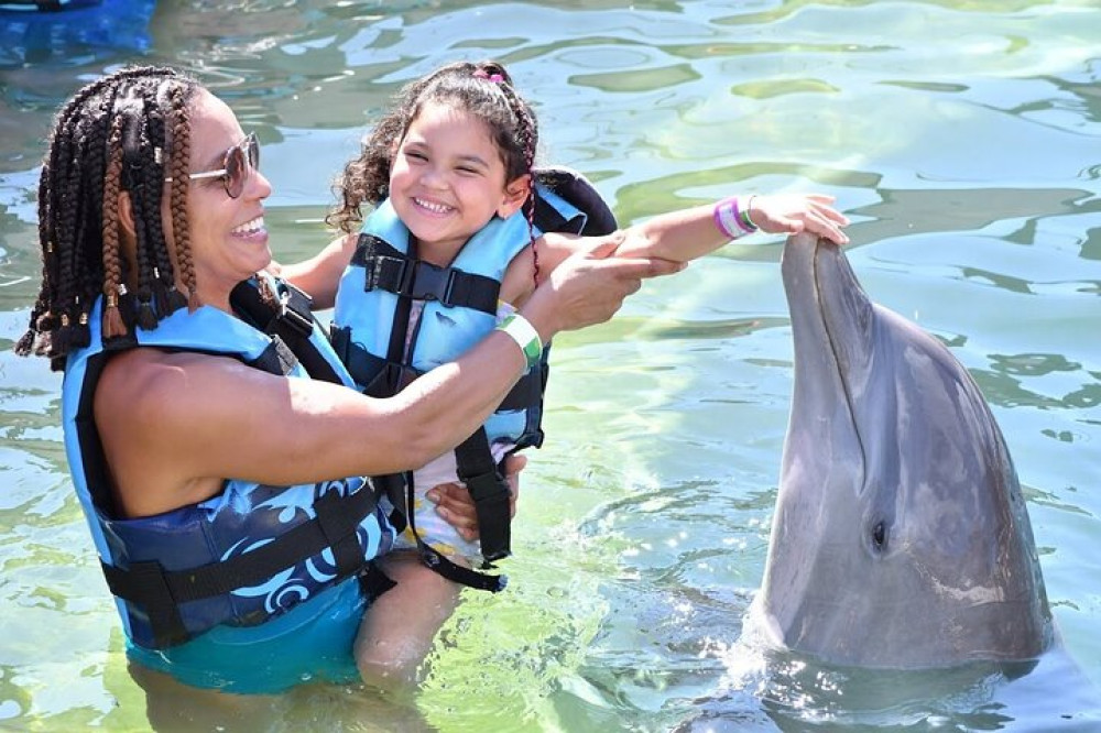 Private Transportation To/from Dolphin Cove In Montego Bay