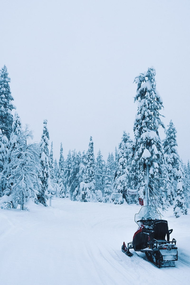 Explore the Canadian Forest: Guided Snowmobile Adventure in Montreal