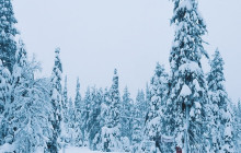 North Adventures1