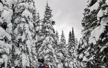 North Adventures15