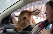 North Adventures2