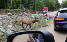 North Adventures13