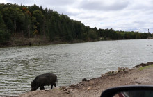 North Adventures14
