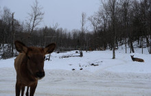 North Adventures39
