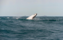 Wanderer Adventures3