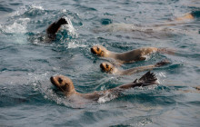 Wanderer Adventures4