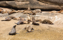 Wanderer Adventures5