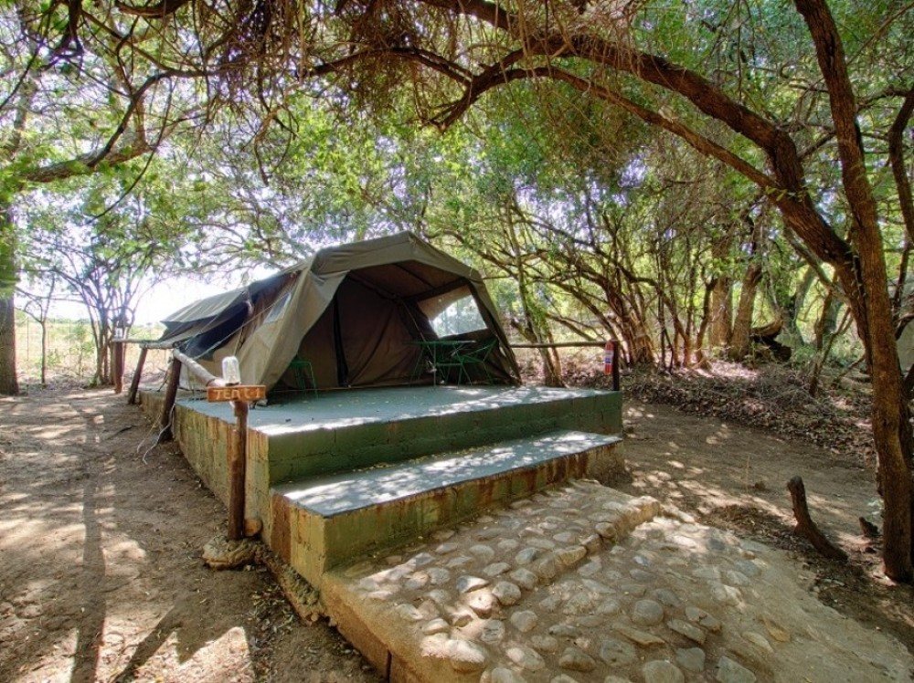 safari tent kruger park