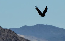 Evolution Expeditions1