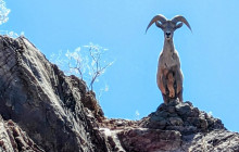 Evolution Expeditions10