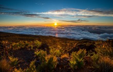 Private Haleakala Summit & Stroll