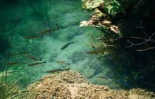 Booker Travel Agency5