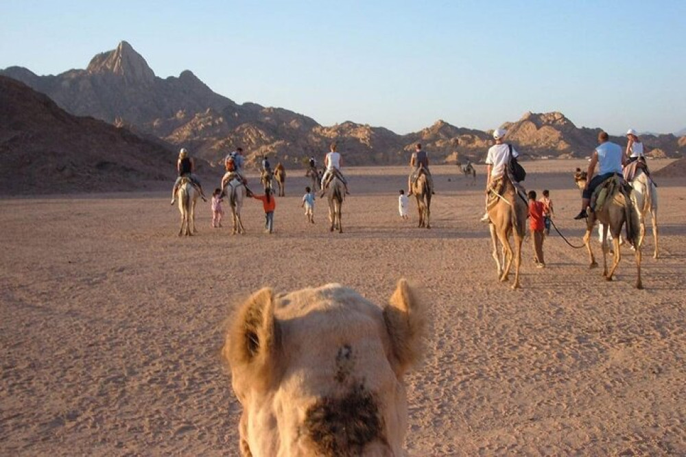 Shared Desert Safari And Sea Activities In Sharm El Sheikh