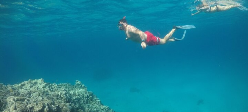 Snorkeling And Diving To Ras Mohamed And White Island By VIP Boat