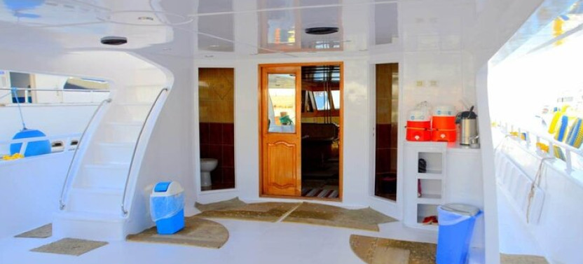 Snorkeling Day Trip To Ras Mohamed And White Island By Vip Boat