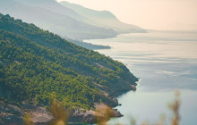 Booker Travel Agency10