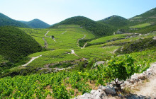 Booker Travel Agency14