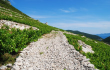 Booker Travel Agency15