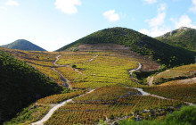 Booker Travel Agency16