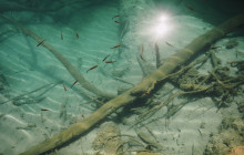 Booker Travel Agency13