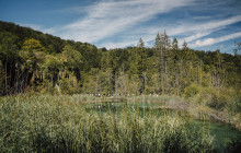 Booker Travel Agency15