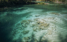 Booker Travel Agency16