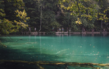 Booker Travel Agency18