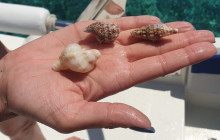 Booker Travel Agency8