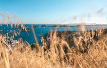 Booker Travel Agency29