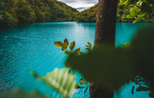 Booker Travel Agency5