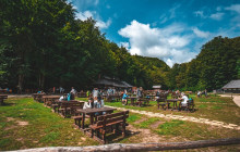 Booker Travel Agency15