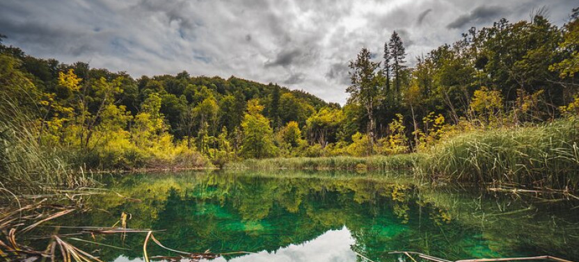 Day Trip to Plitvice National Park