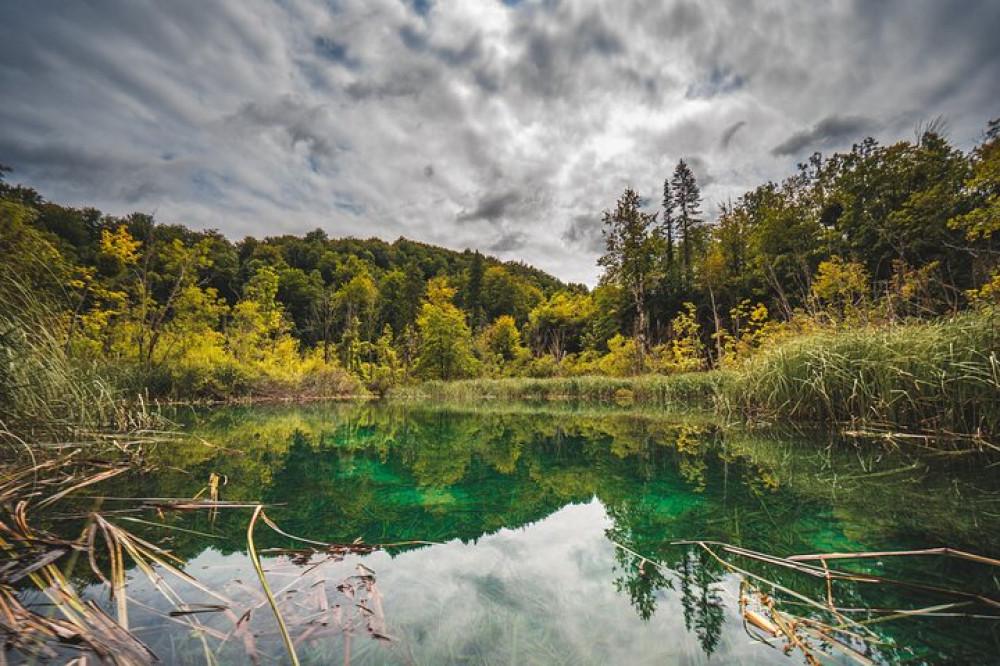 Day Trip to Plitvice National Park