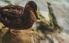 Booker Travel Agency5