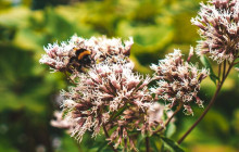 Booker Travel Agency9