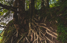 Booker Travel Agency10