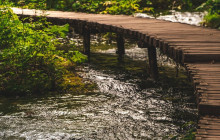 Booker Travel Agency11