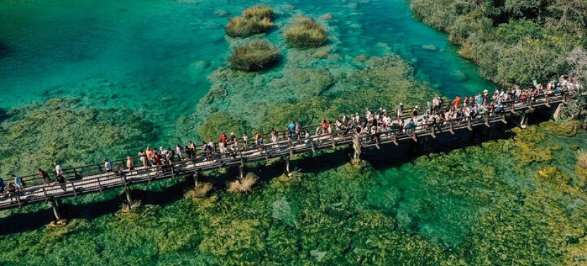Group Tour: Krka Waterfalls, Boat Cruise & Swimming