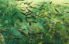 Booker Travel Agency3