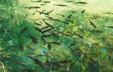 Booker Travel Agency6