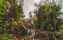 Booker Travel Agency13