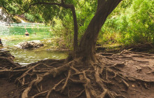 Booker Travel Agency8