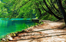 Booker Travel Agency3