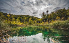 Booker Travel Agency4