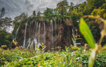 Booker Travel Agency6